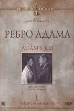 Ребро Адама