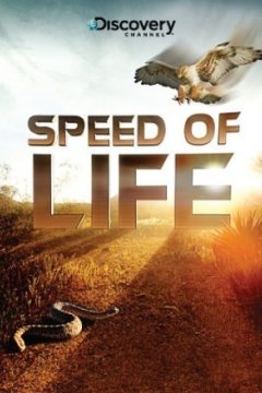 Постер: Discovery: Скорость жизни